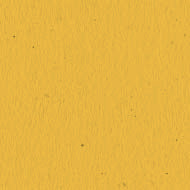 The Paper Cut - Mustard - 12x12