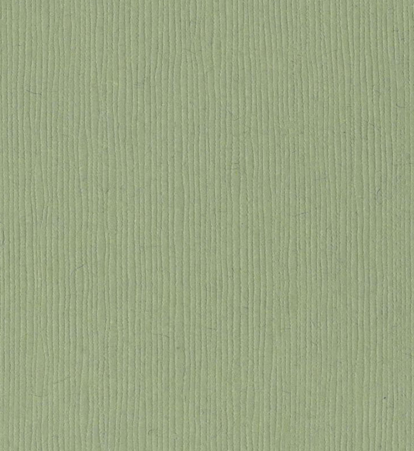 12x12 Bazzill Basics Paper - Lilypond