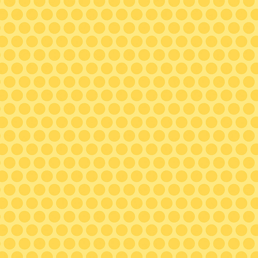 Bella Blvd - Birthday Bash - Count The Candles