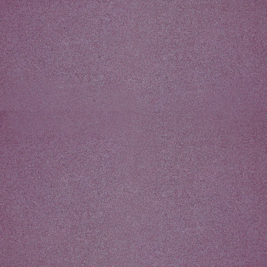 The Paper Cut - Iris - 12x12