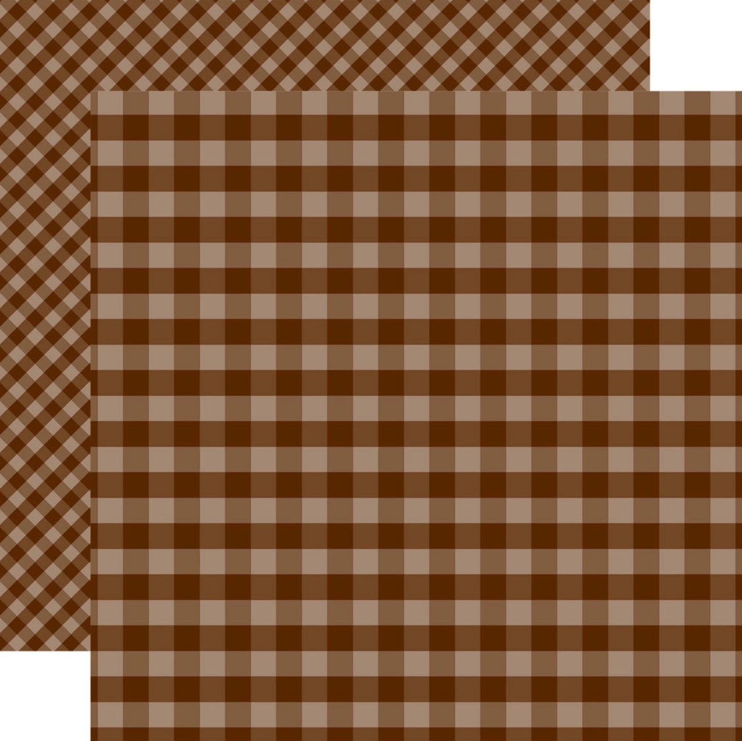 Echo Park - Dots & Stripes Gingham - Brown Gingham