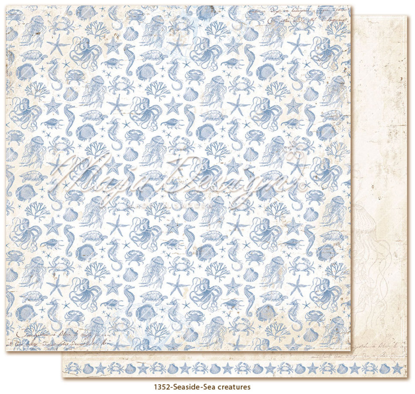 Maja Design - Seaside - Sea Creatures