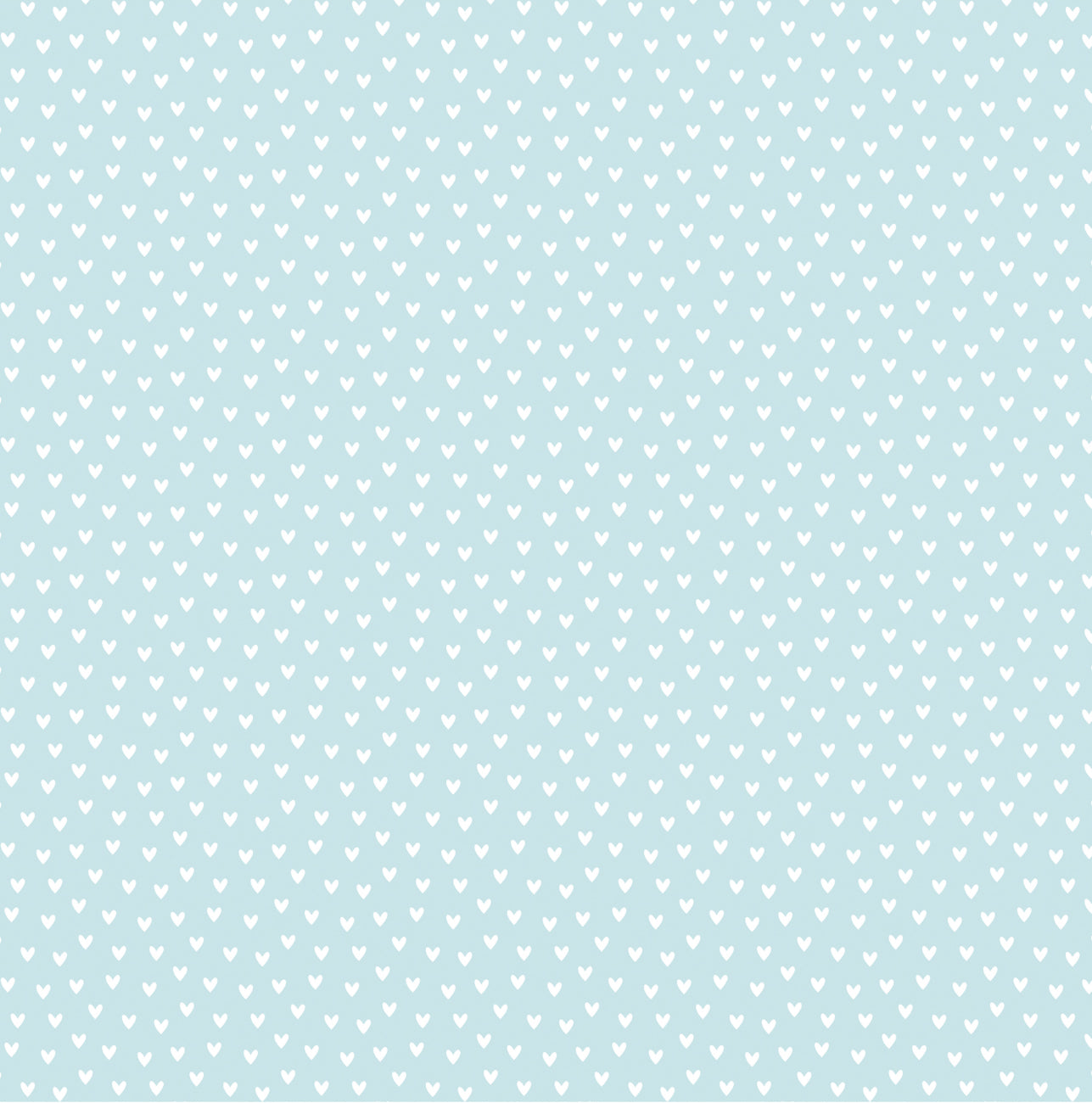 Echo Park - Bookish - Sparkling Stories