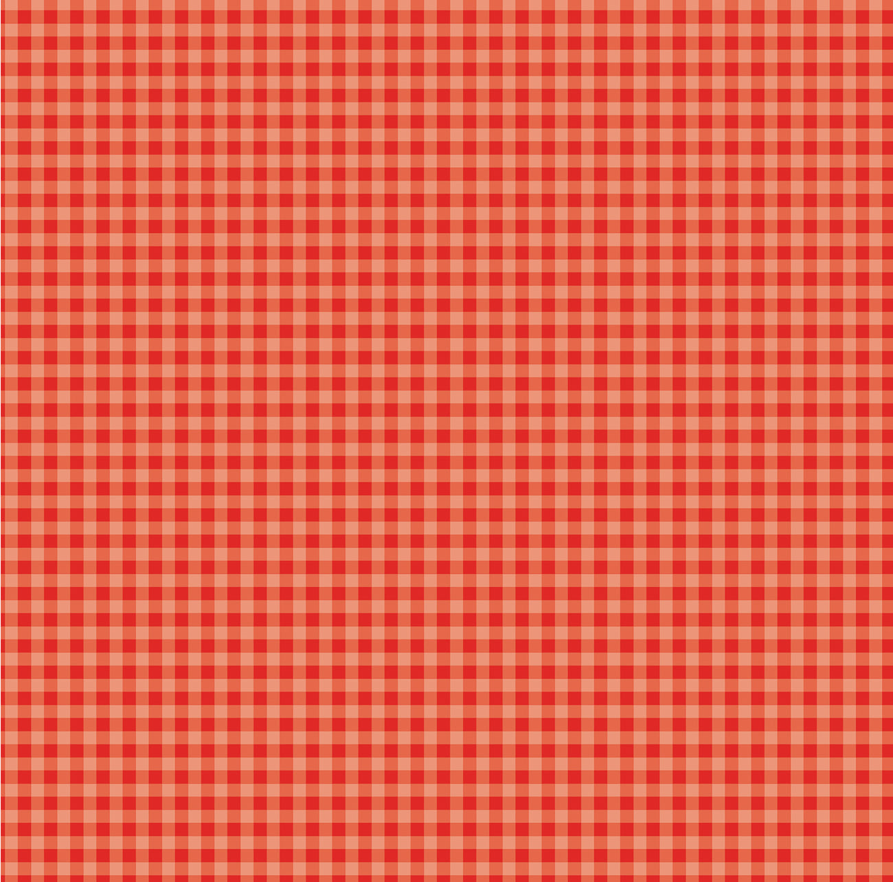 Echo Park - Gingham Bold - Cherry Red Gingham