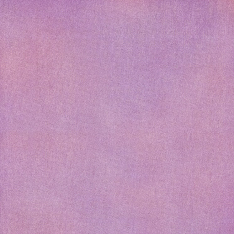 Graphic 45 - Fairy Boutique - Lilac Lavender Pattern & Solid Sheet