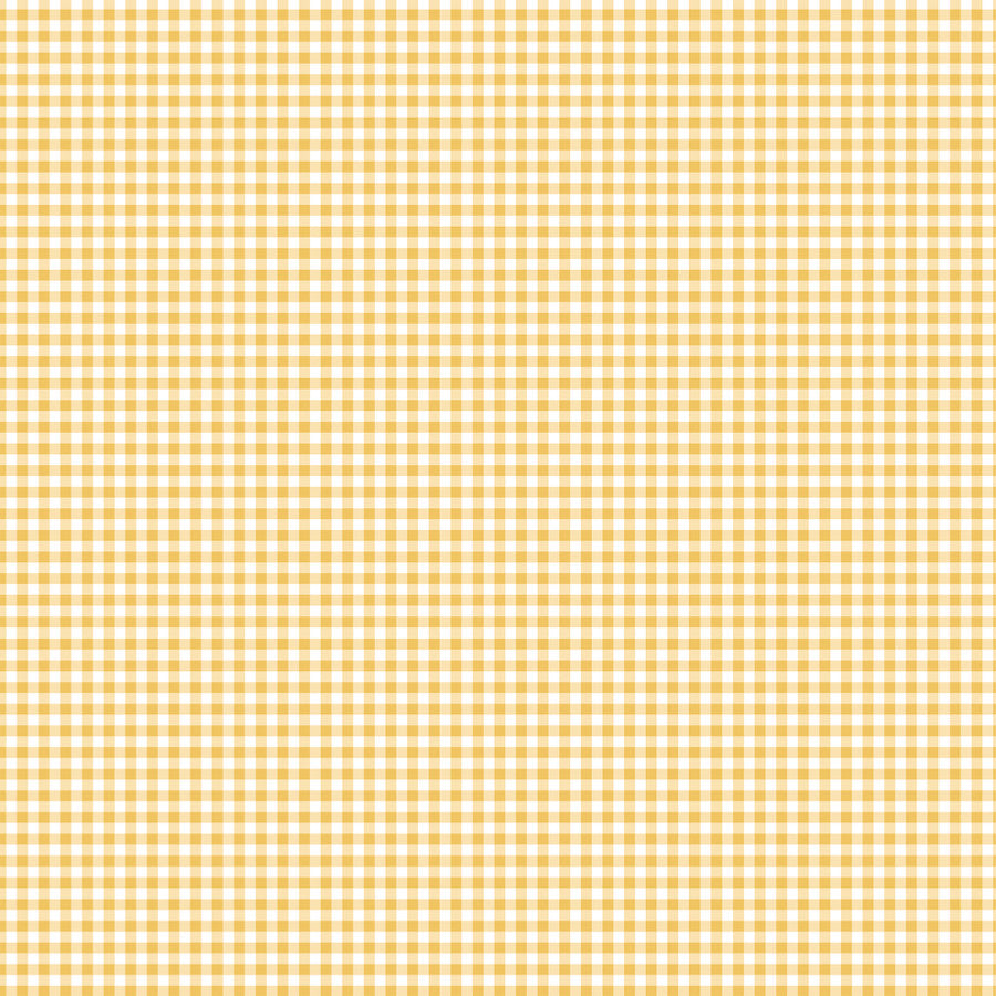 Echo Park - Firefly - Shine Bright Fireflies