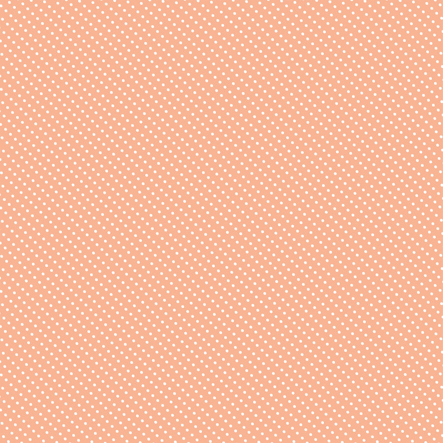 Echo Park - Firefly - Grow and Glow Flowers