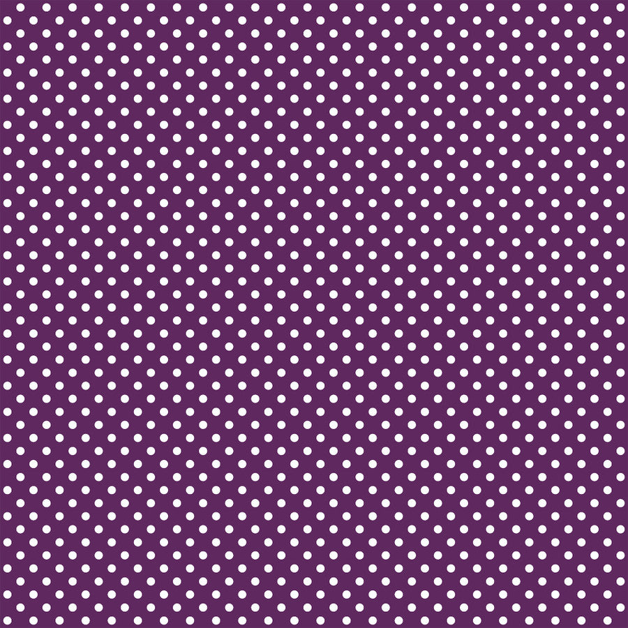 Echo Park - Dots & Stripes - Purple