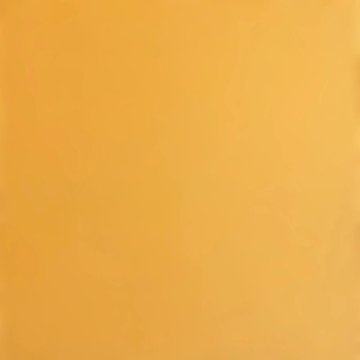 Encore 12x12 Cardstock - Smooth - Beehive