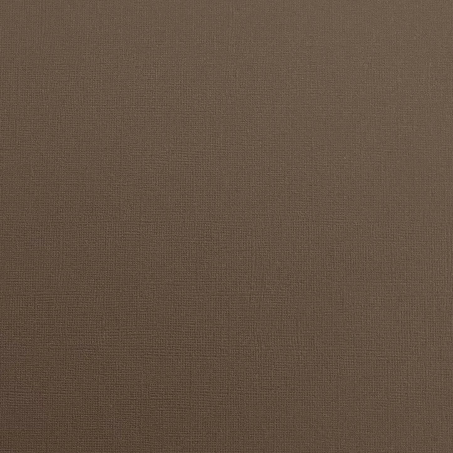 Encore 12x12 Cardstock - Canvas - Maple Syrup