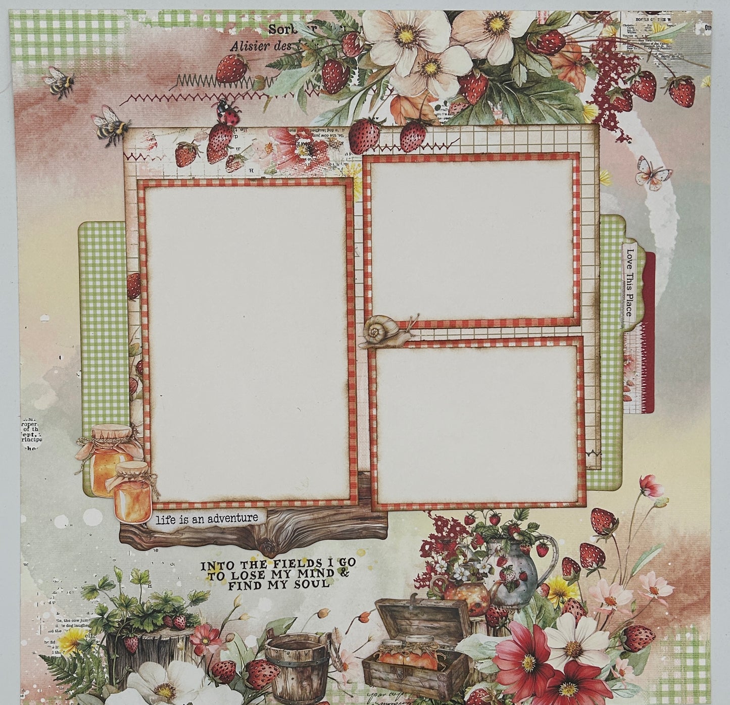 49 & Market - Nature's Haven Layout Kit