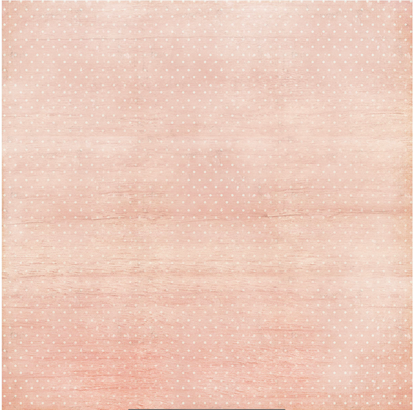 49 & Market Daydream