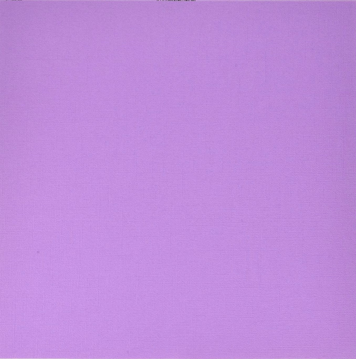 12x12 My Colors Cardstock - Snapdragon