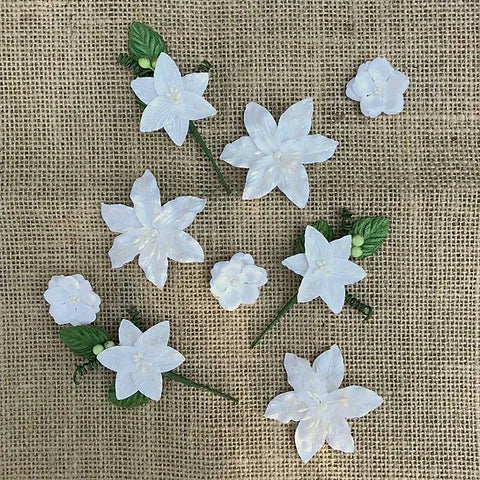 49 & Market - Stargazers Flowers - Simply White