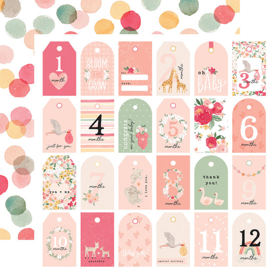 Echo Park - Welcome Baby Girl - Girl Tags