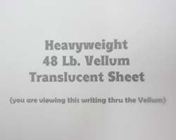 The Paper Cut - Vellum - 12x12