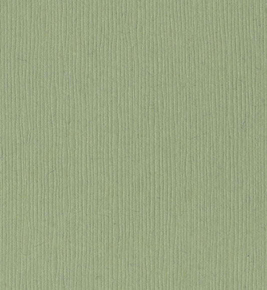 12x12 Bazzill Basics Paper - Lilypond