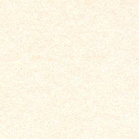 The Paper Cut - Coral Stardream Metallic - 12x12 Cardstock