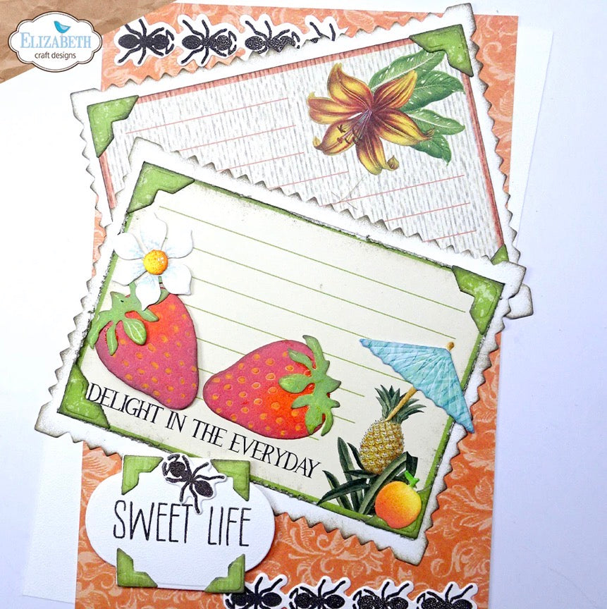 Elizabeth Craft Designs - Steel Cutting Dies - Picture Frames & Mats