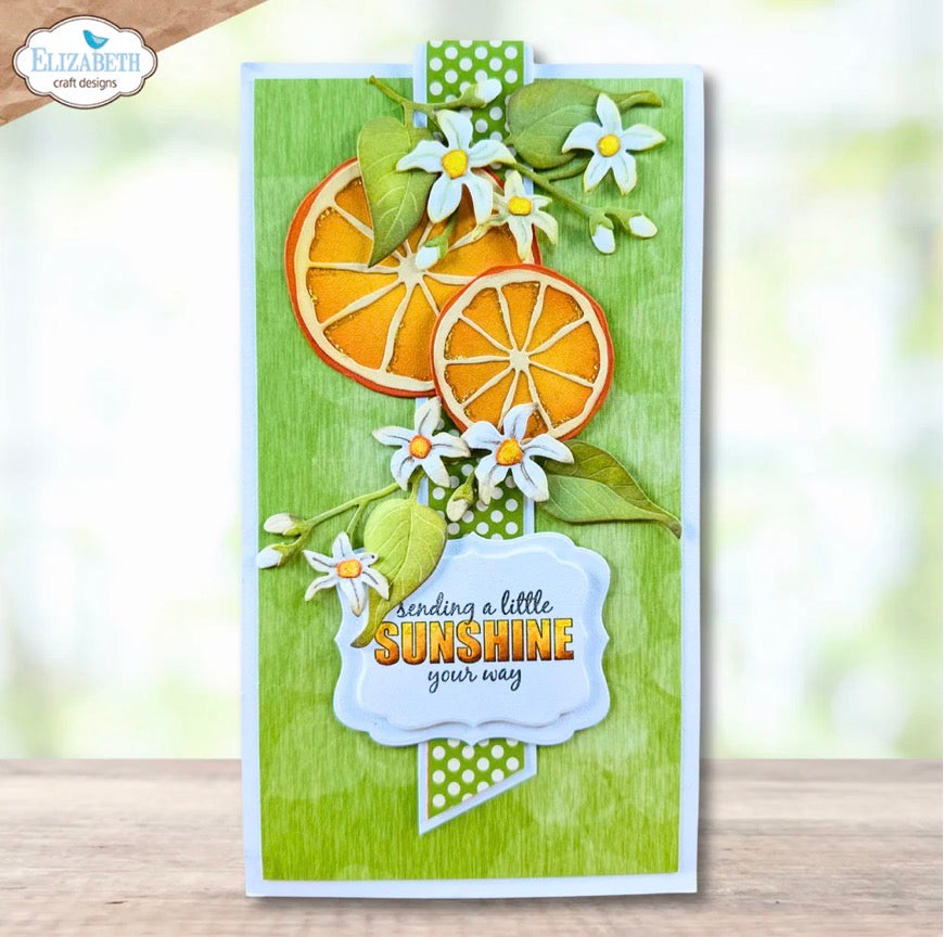 Elizabeth Craft Designs - Steel Cutting Dies - Fresh Fruit