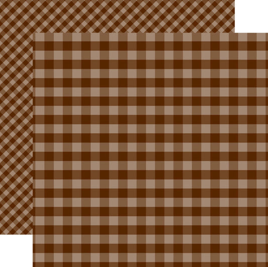 Echo Park - Dots & Stripes Gingham - Brown Gingham