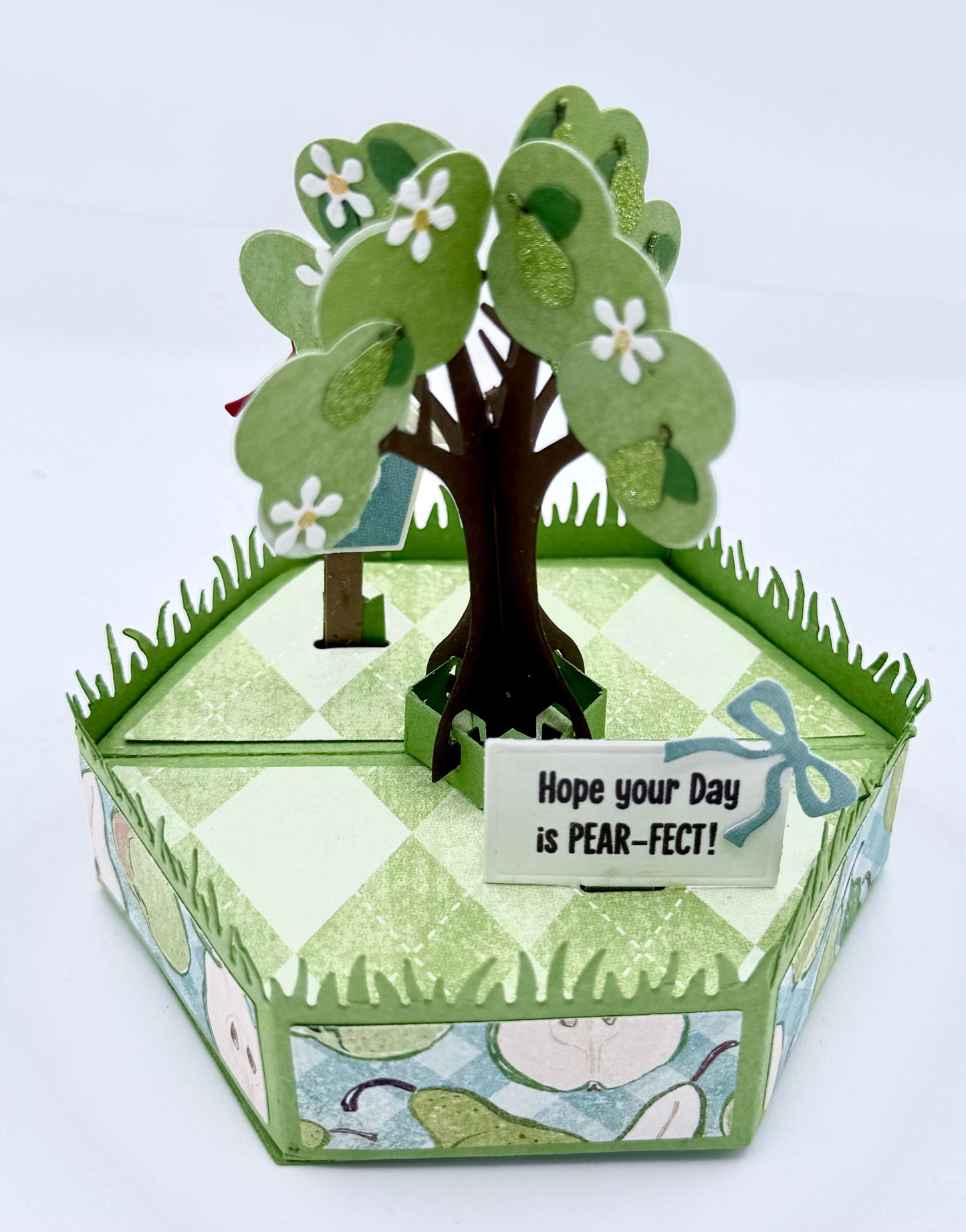 Scrapp’n Savvy - Card Kits - Slice of Life