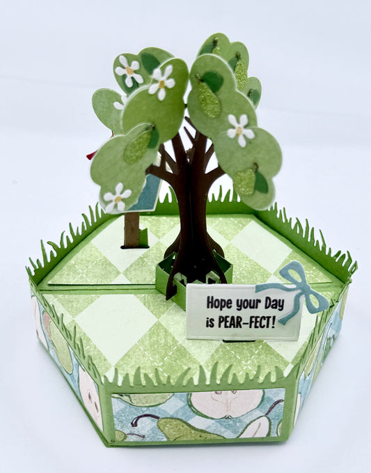 Scrapp’n Savvy - Card Kits - Slice of Life