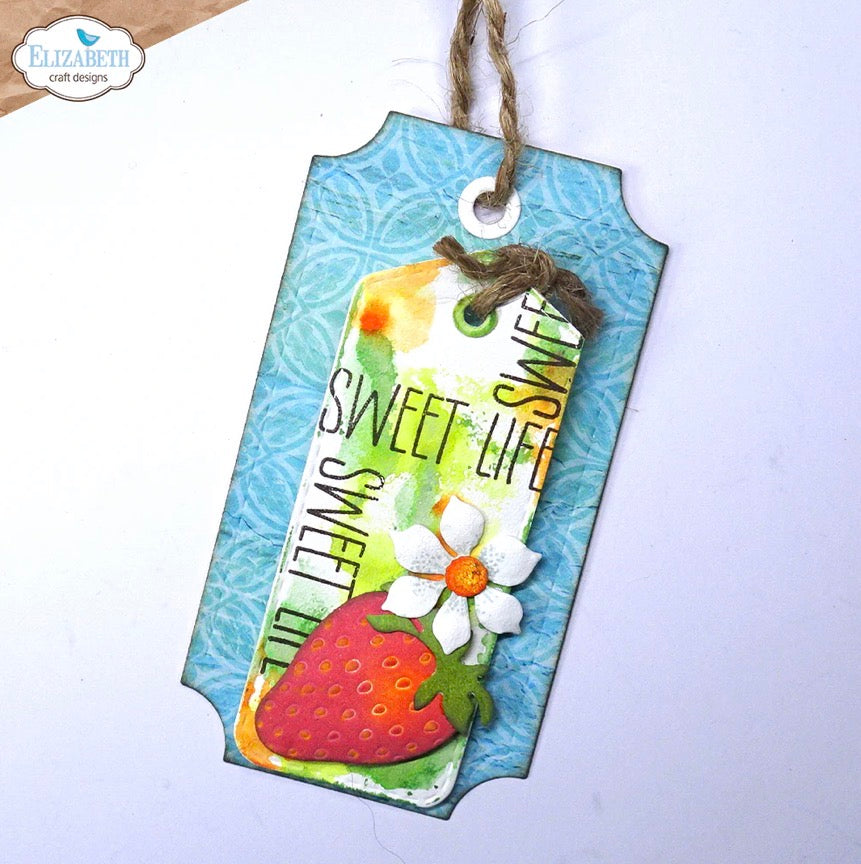 Elizabeth Craft Designs - Steel Cutting Dies - Tag Variety Pack