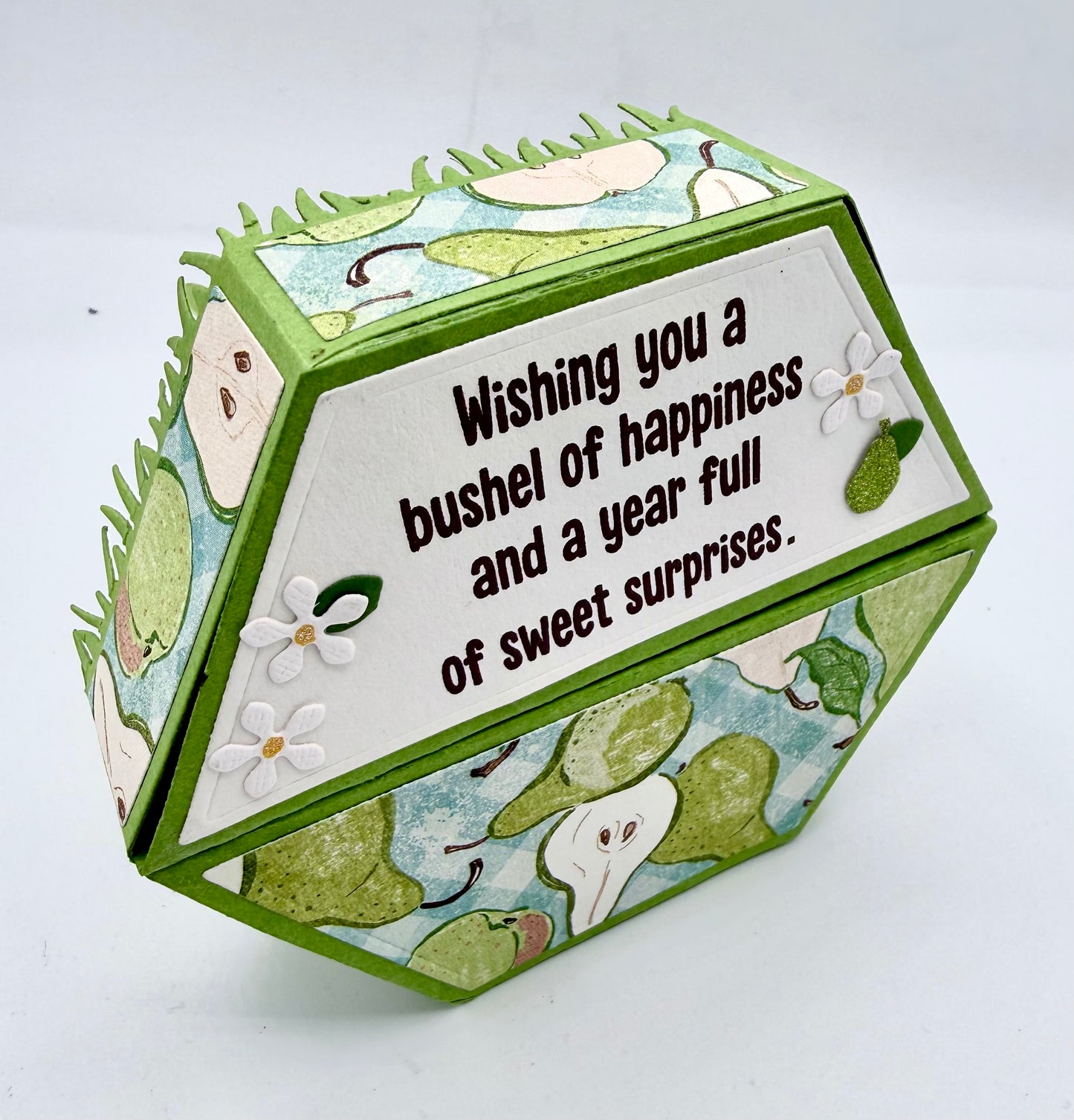 Scrapp’n Savvy - Card Kits - Slice of Life