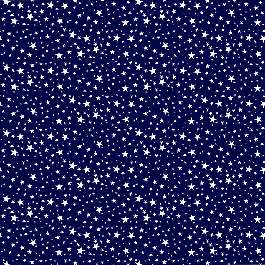 Echo Park - Stars and Stripes Forever - Sky Rocket Show