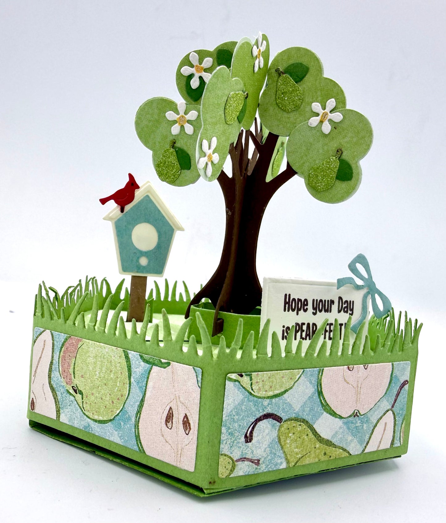 Scrapp’n Savvy - Card Kits - Slice of Life