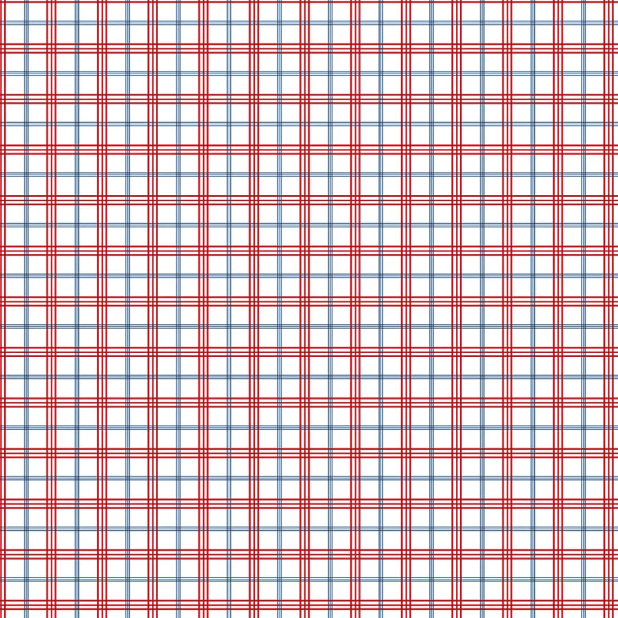 Echo Park - All American - Patriotic Plaid