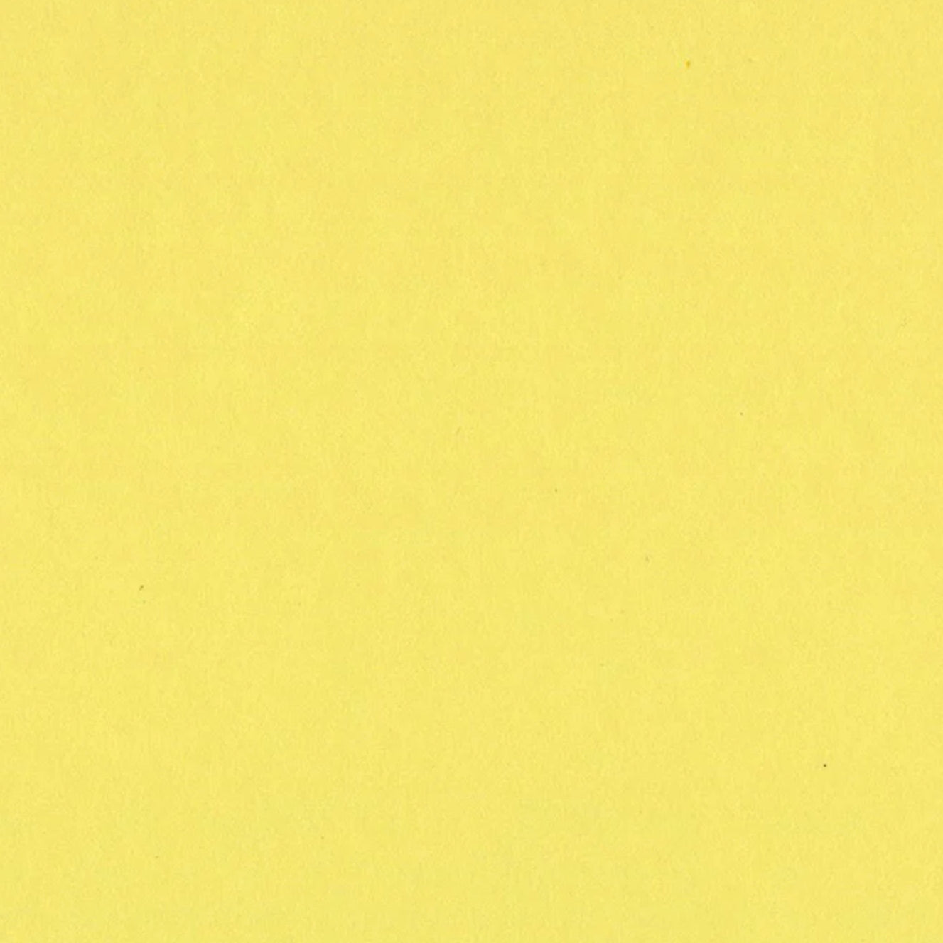 Bazzill Basics - 12x12 Sour Lemon