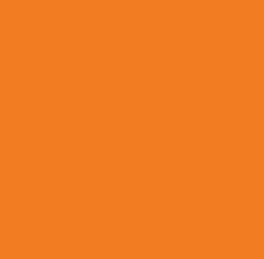 Carta Bella - Printed Cardstock- Orange