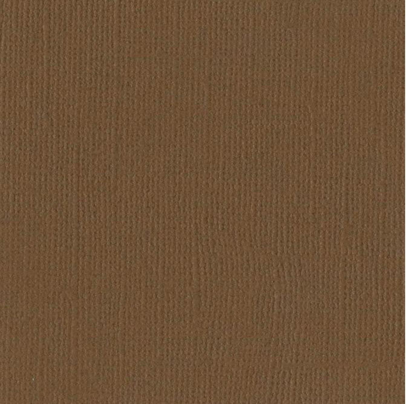 Bazzill Basics - 8.5x11 - Walnut