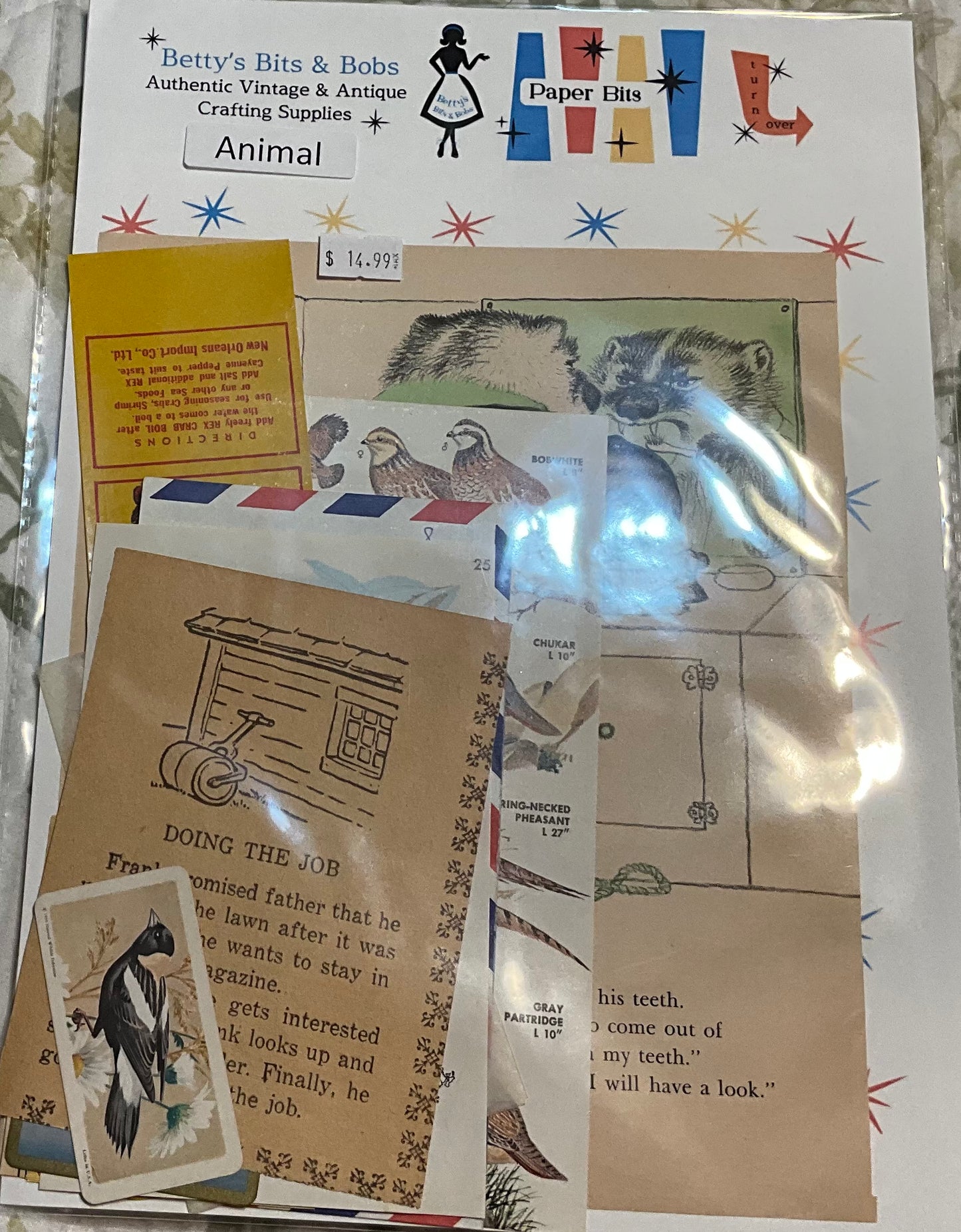 Betty’s Bits & Bobs - Medium Paper Bits