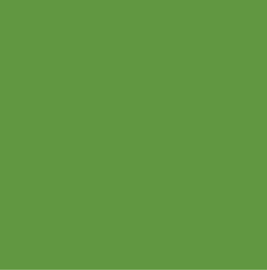 Carta Bella - Printed Cardstock - Leaf Green
