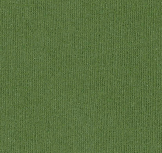 Bazzill Basics - 12x12 Nixon