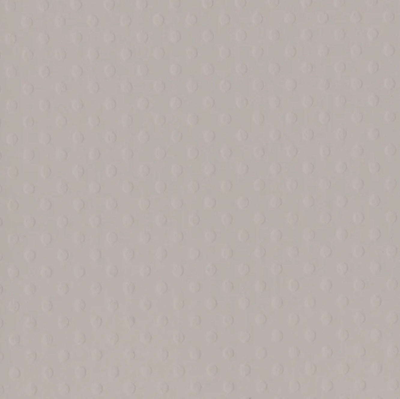 Bazzill Basics - 12x12 Dotted Swiss - Front Porch