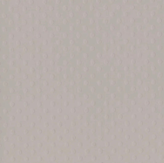 Bazzill Basics - 12x12 Dotted Swiss - Front Porch