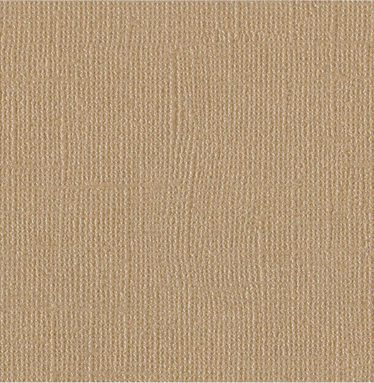 Bazzill Basics - 12x12 Cardstock - Blank Check