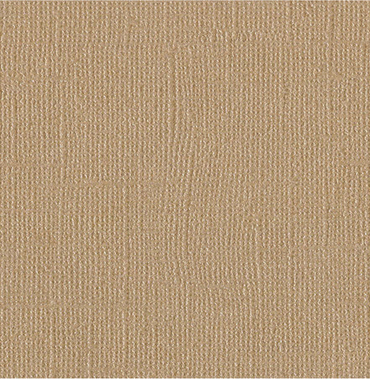 Bazzill Basics - 12x12 Cardstock - Blank Check