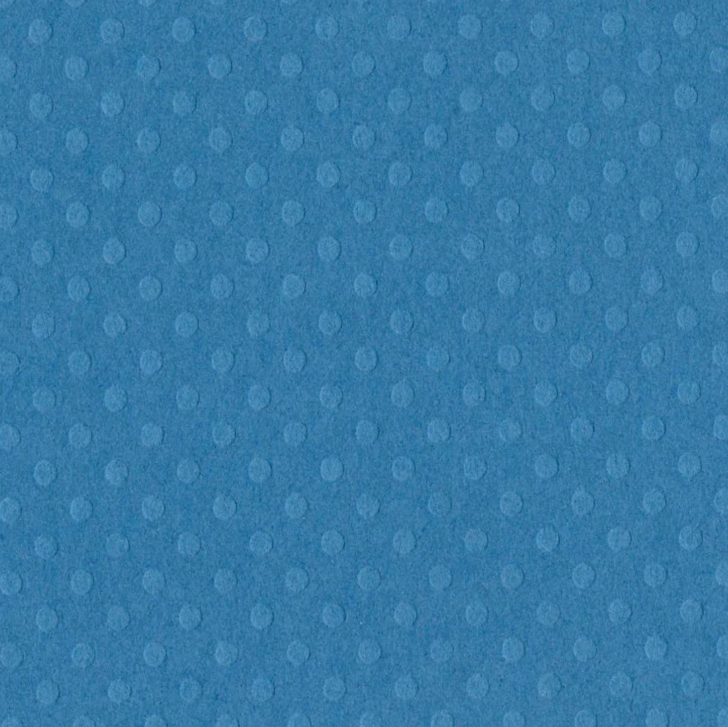 Bazzill Basics - 12x12 Dotted Swiss - Surfs Up
