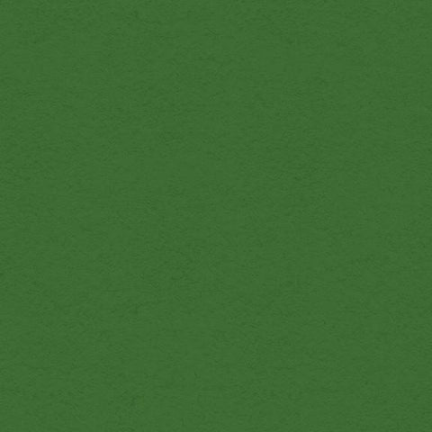 12x12 My Colors Cardstock - Holiday Green