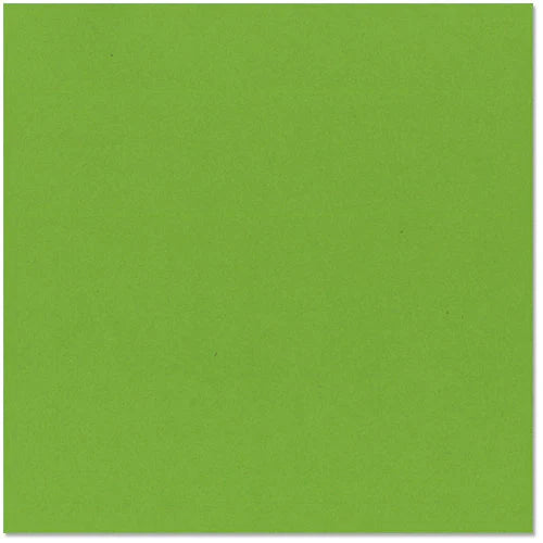 Bazzill Basics - 12x12 Easter Grass