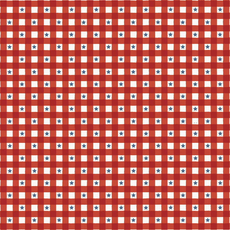 Carta Bella - Americana Summer - Starry Plaid