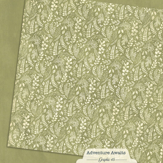 Graphic 45 - Adventure Awaits - Fern Green Pattern & Solid Sheet