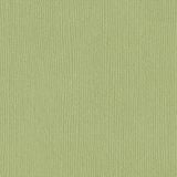 Bazzill Basics - 12x12 Pear