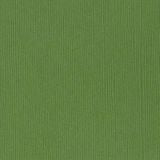 Bazzill Basics - 12x12 Guacamole Fourz