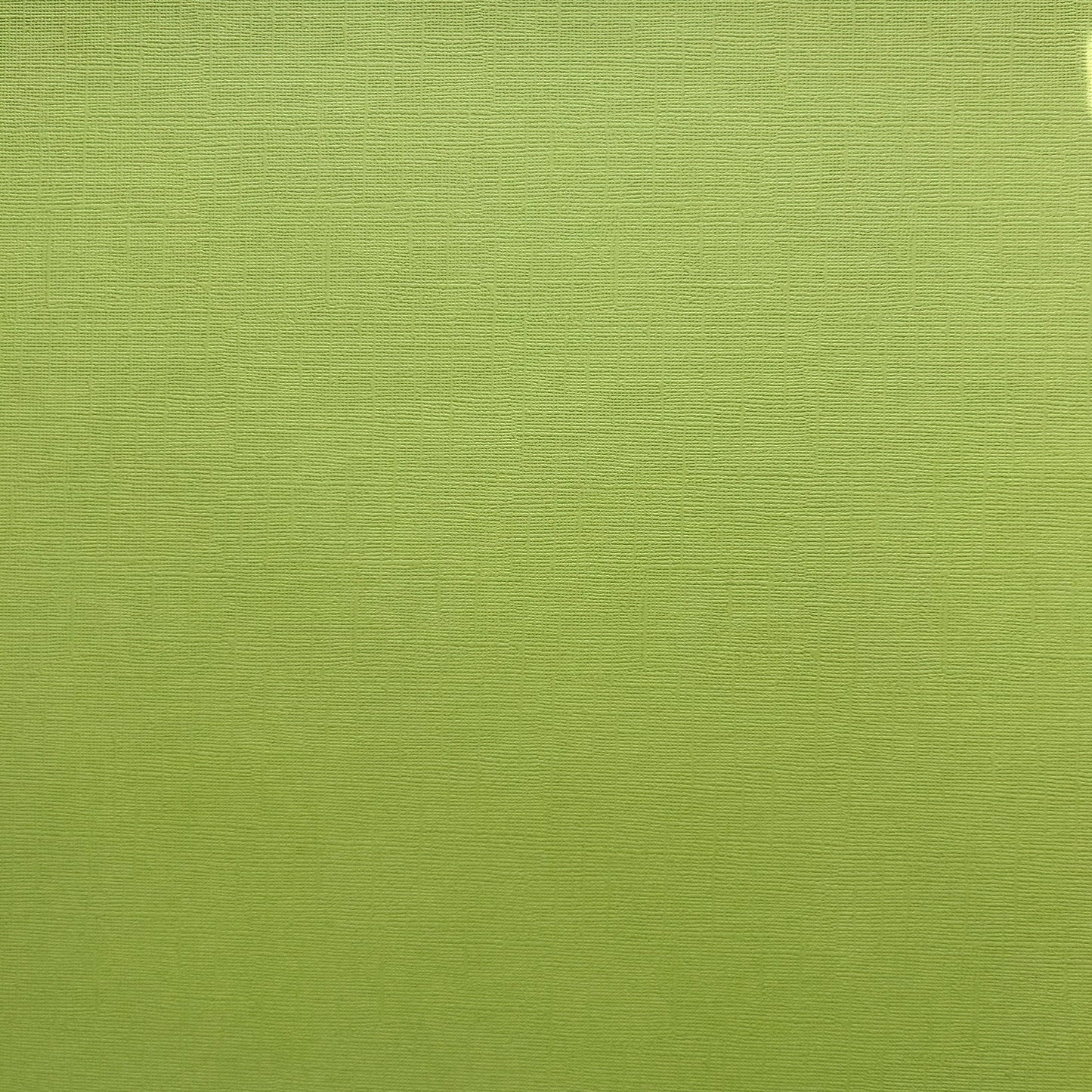 Encore 12x12 Cardstock - Canvas - Green Tomato